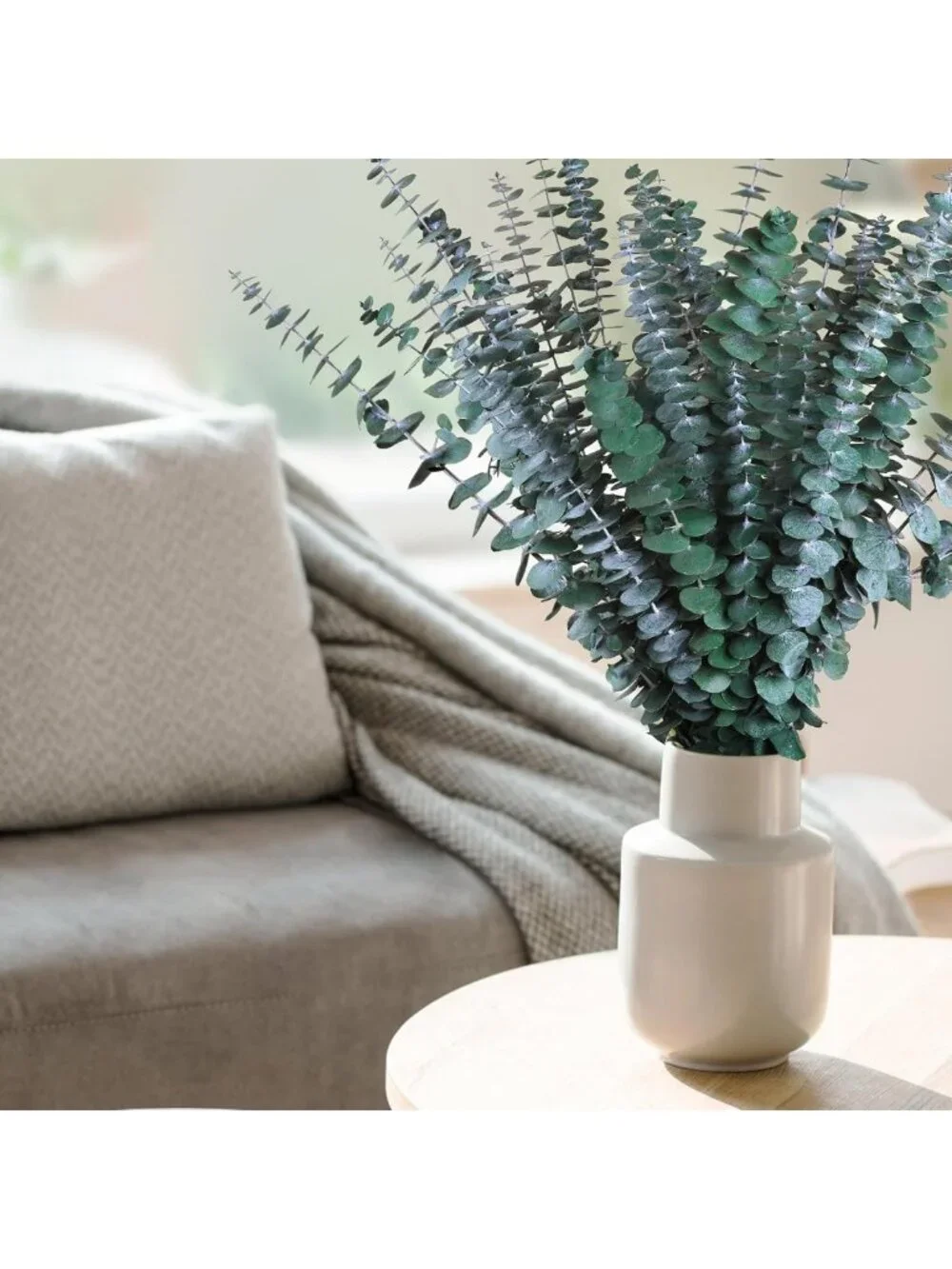 Dried Eucalyptus Stems Bundle - 30 Real 17'' Branches for Shower, Vase & Home
